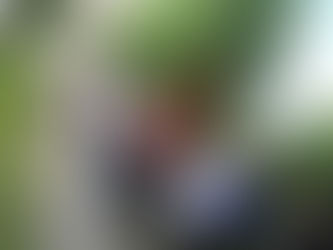 По пътя на Ботевата чета