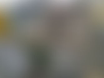  Ден на физиката