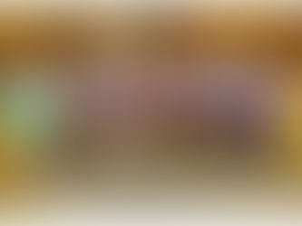 Участие на ПГТМ "Христо Ботев" във фолклорен фестивал