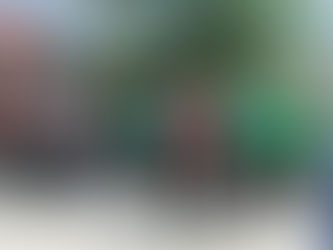 Представителна изява на клуб "Магията на духовата музика "