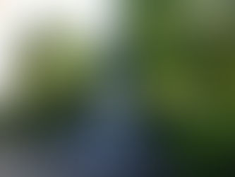 ПГТМ "Христо Ботев" отбелязва патронния си празник