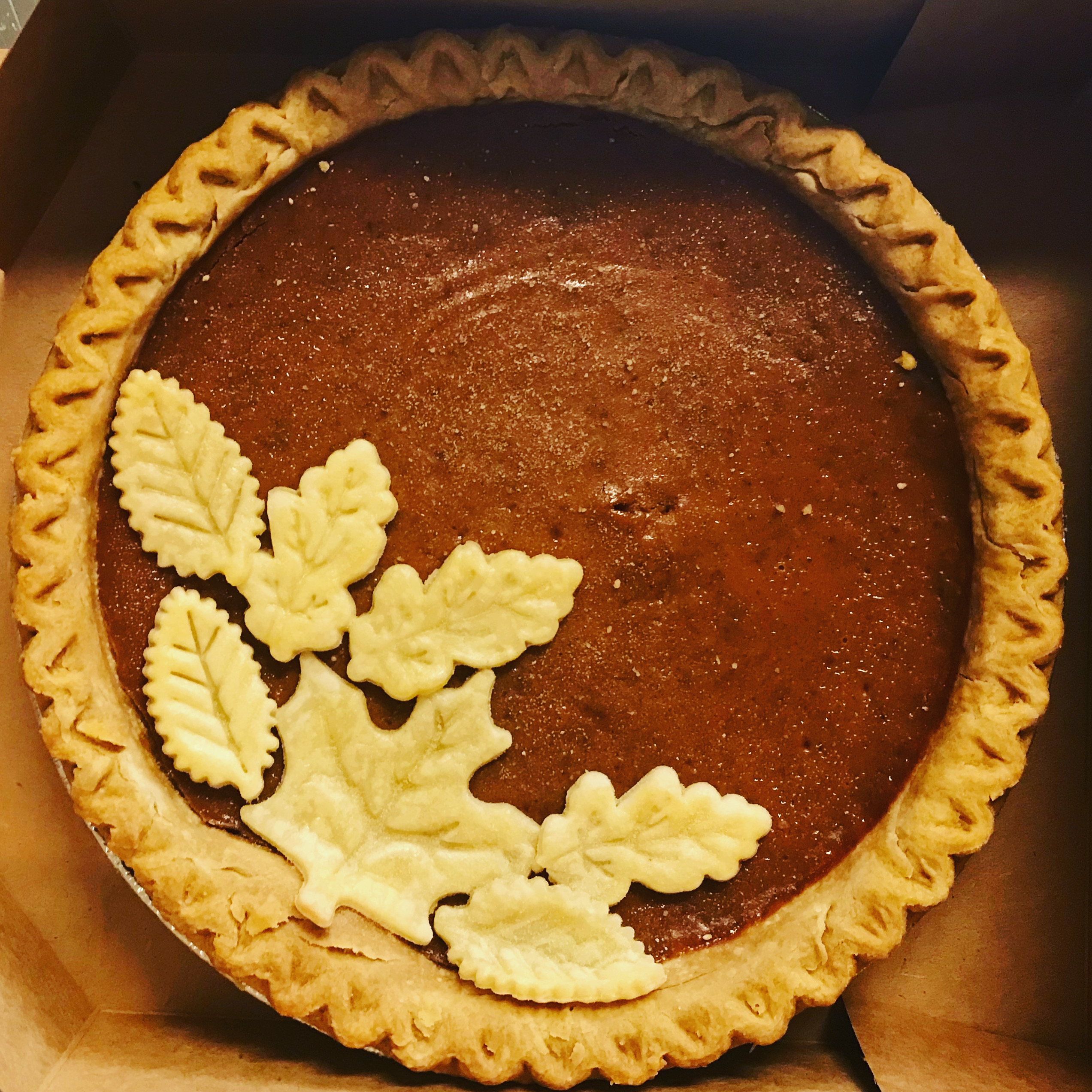 Pumpkin Pie
