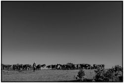 Productora Rural María González