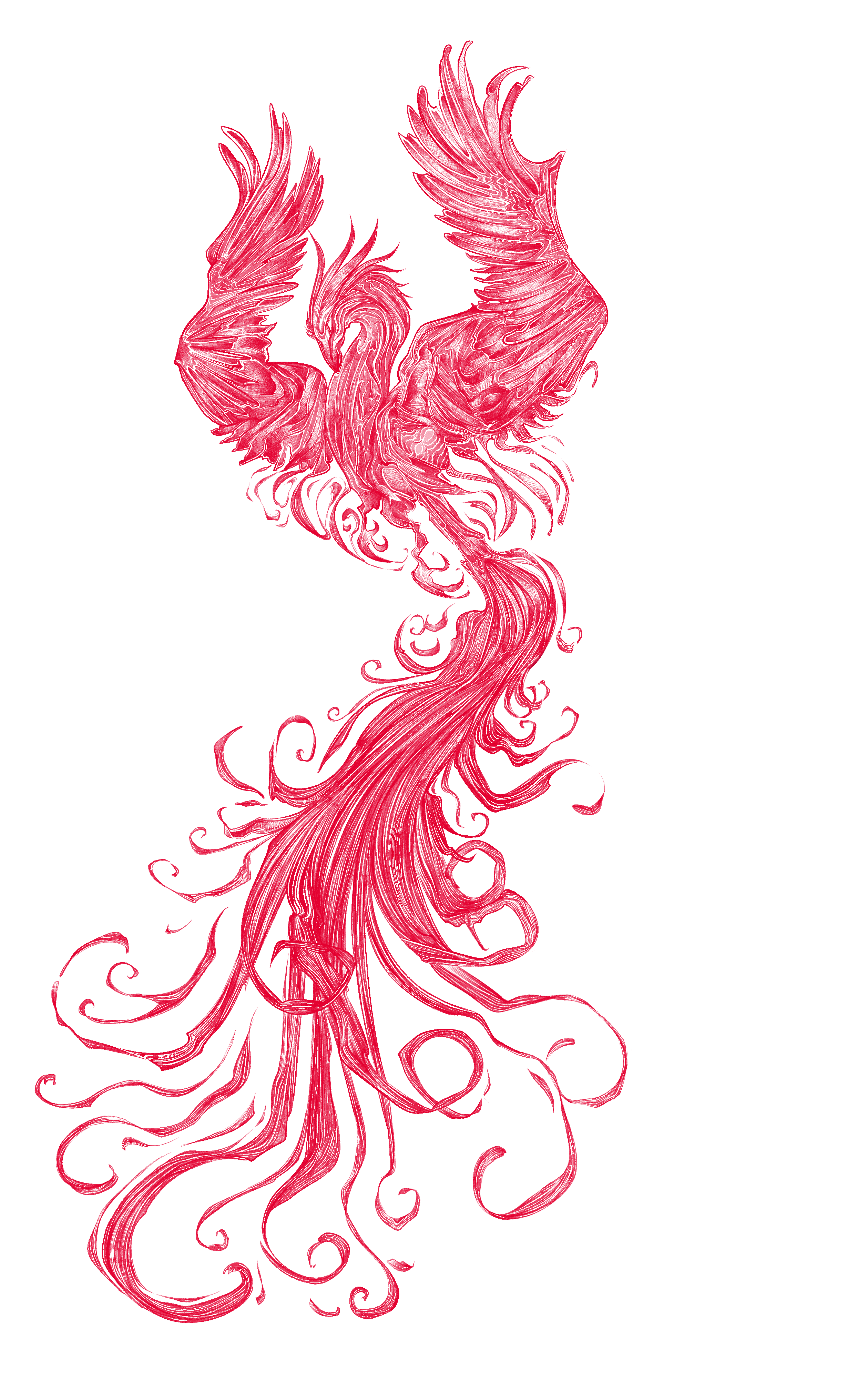 Red Phoenix