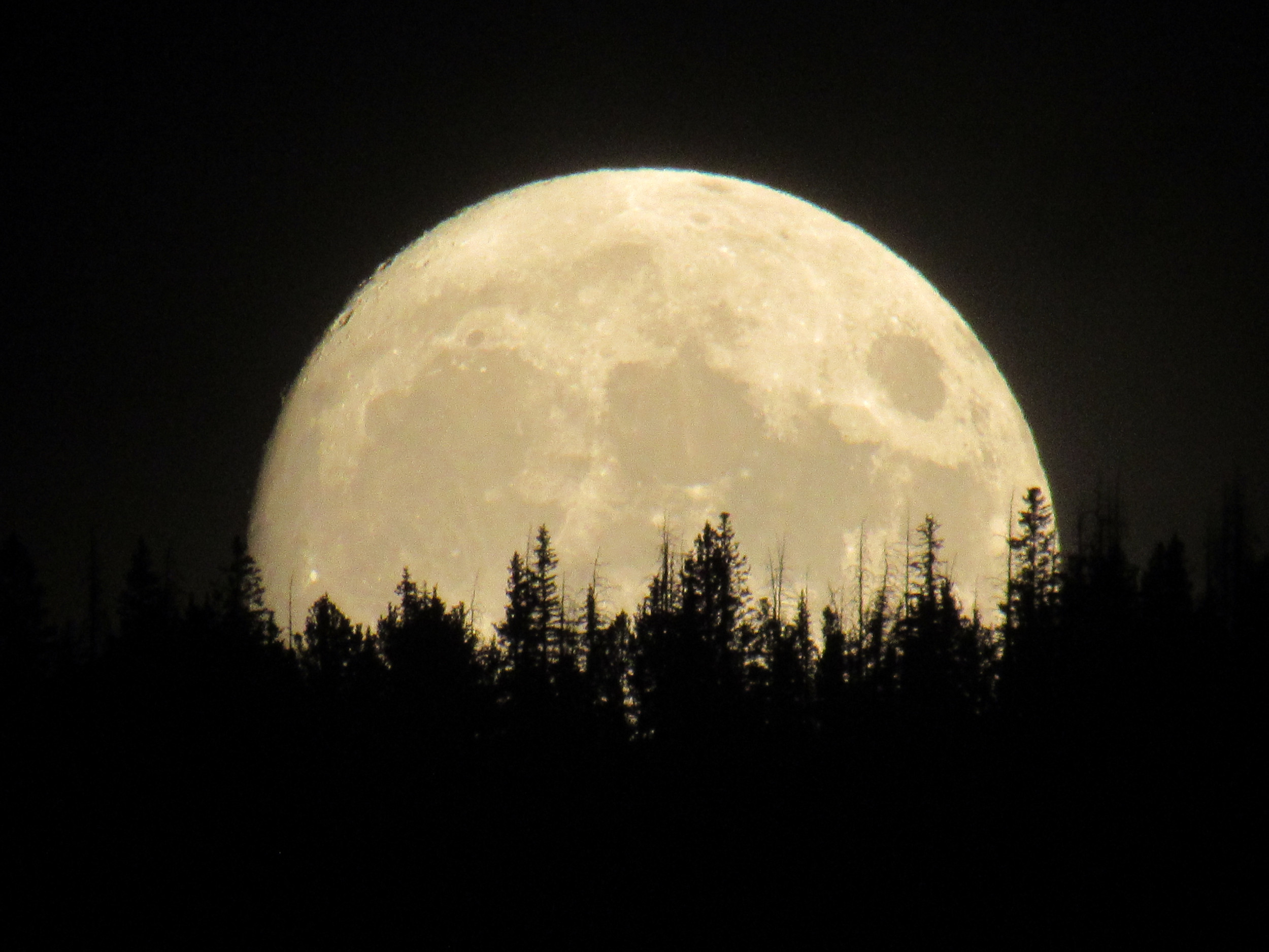 FULL MOON CIRCLES Golden Circle Alchemy