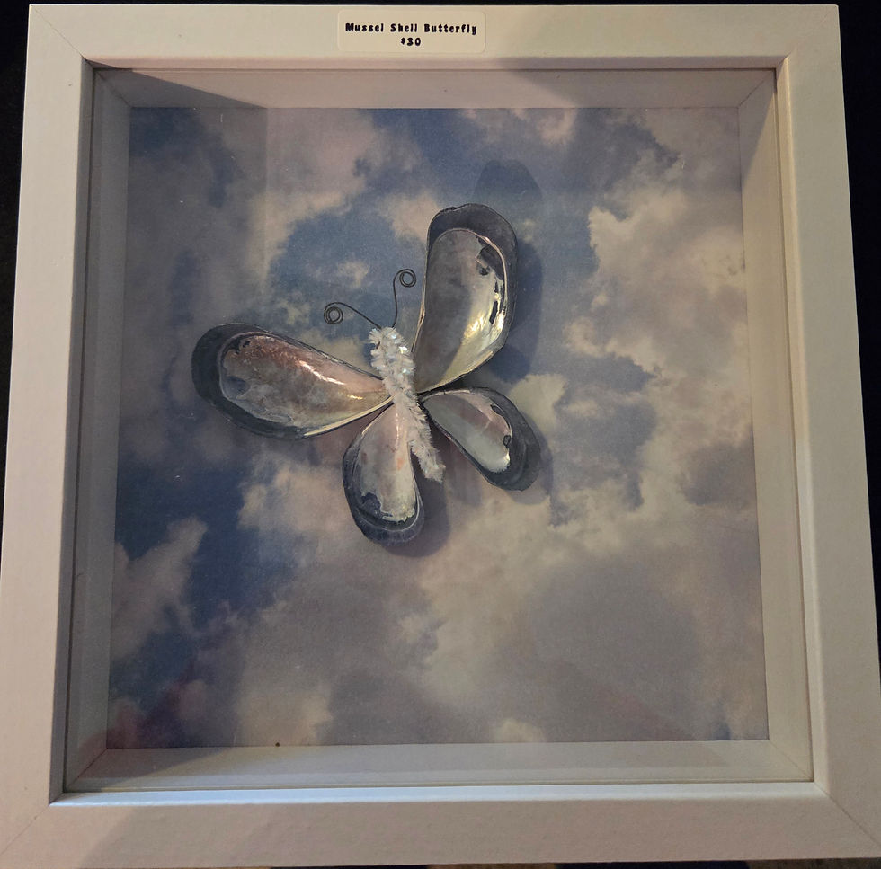 Thumbnail: Butterfly in the Clouds Shadow Box