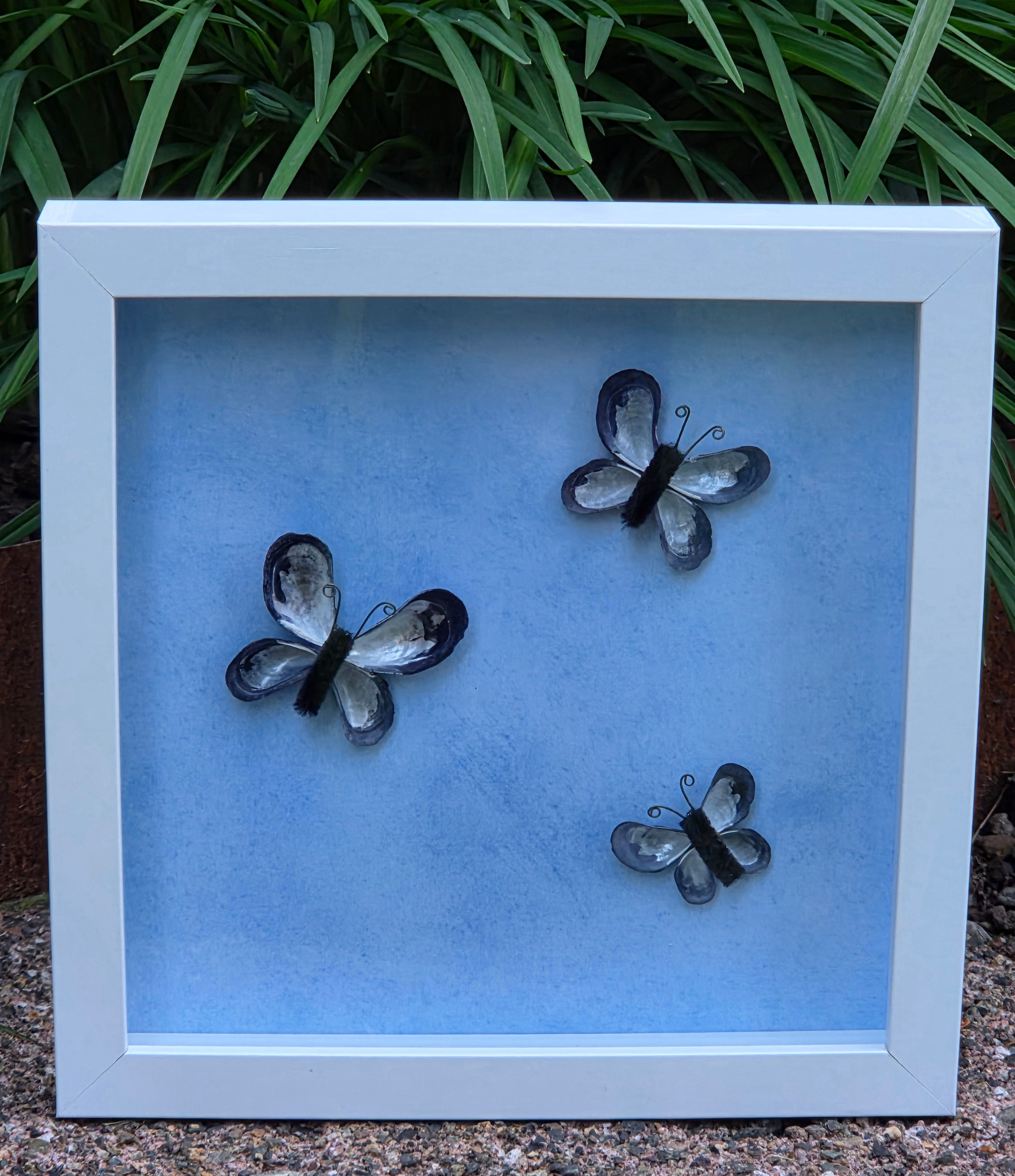 Blue Sky Butterfly Shadow Box