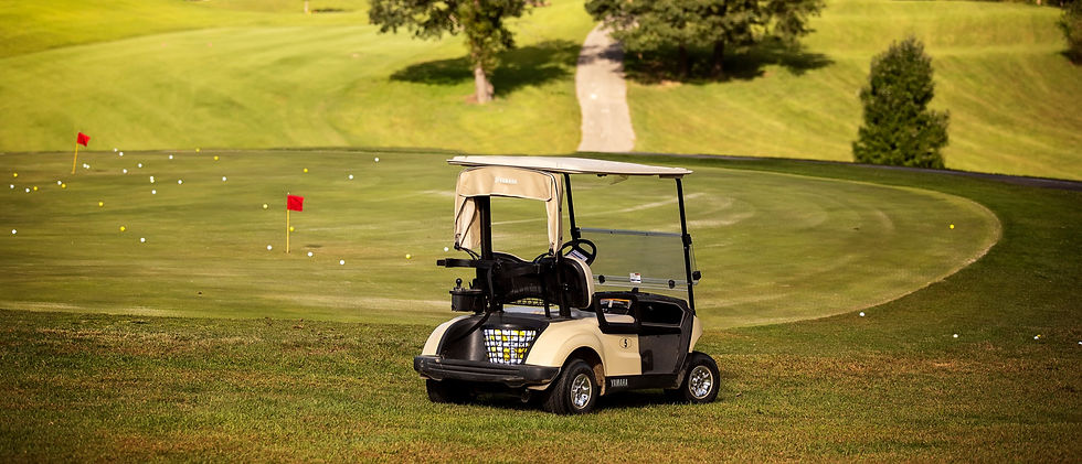 The practice green with a golf cart in front of green.