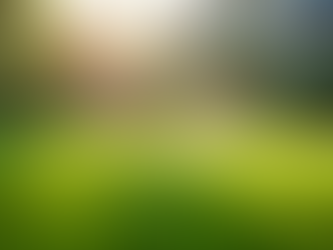 Incorporating Affordable Organic Solutions for a Healthy Lawn Care Program