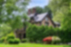 Eye-level view of a healthy ornamental shrub with lush green leaves in a residential garden