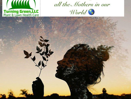 Happy Mother's Day! 👩💻 💞 🌎
