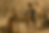 4E6B3485-3572-49F5-B939-3EA5E11F84AA.png