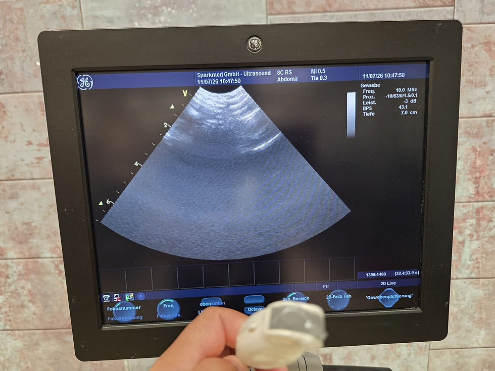 Miniaturbild: GE Vivid S6, Inklusive Vier Sonden , Baujahr 2012, Top Zustand