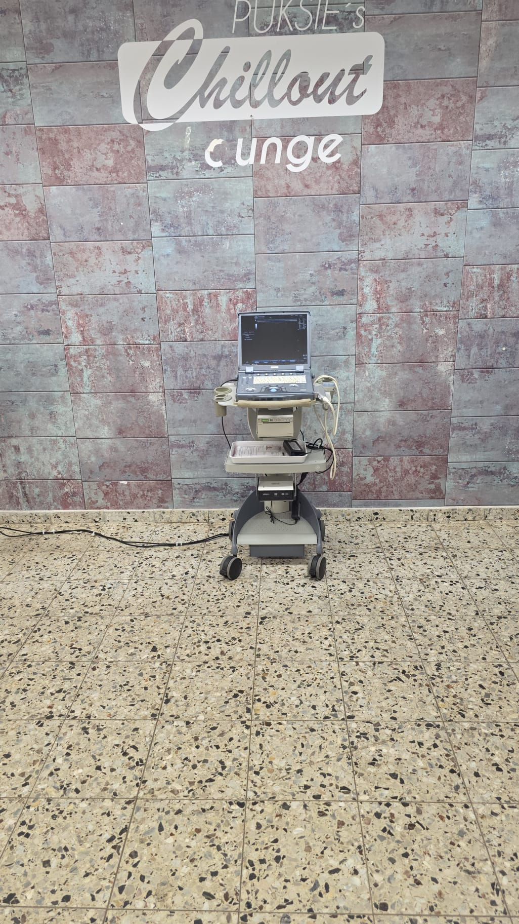 GE Logiq E Ultraschallgerät inklusiv eine Linear Sonde, Baujahr 2010