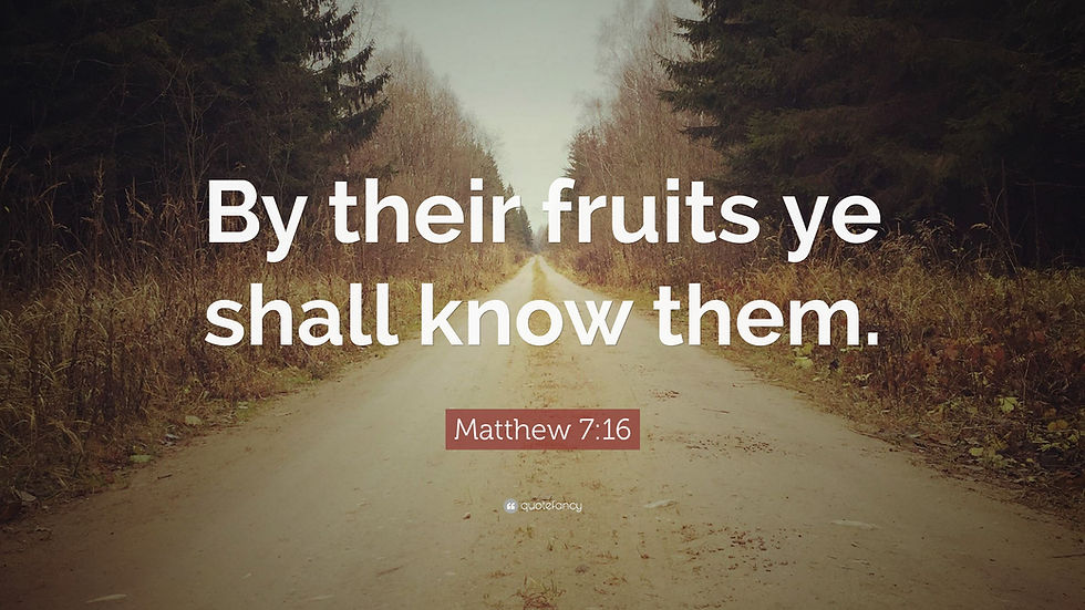 bible verse, Matthew 7:16