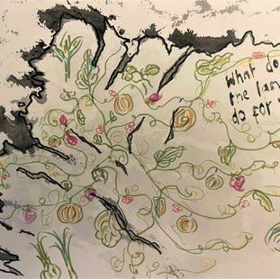 Celebrating 20 years since the publication of At Home in Mackay Country