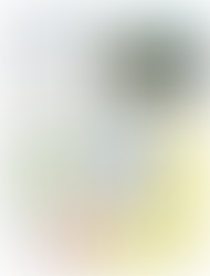 Aufsteiger FCH: Beinahe wie im Training