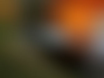 How to Quickly Fix Wrong Fuel in Bilston and Birmingham