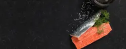 880-TOROS