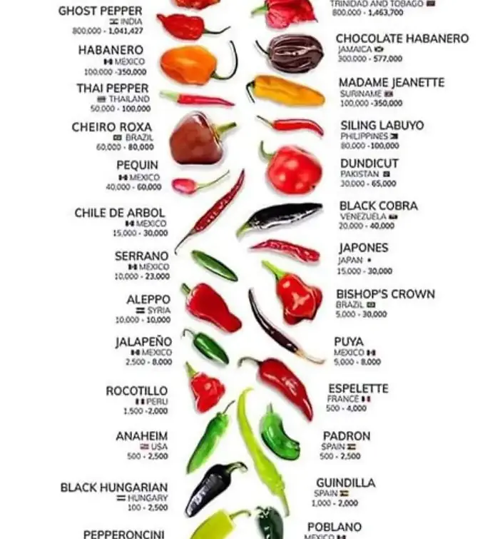 Pepper-ID-Chart.webp
