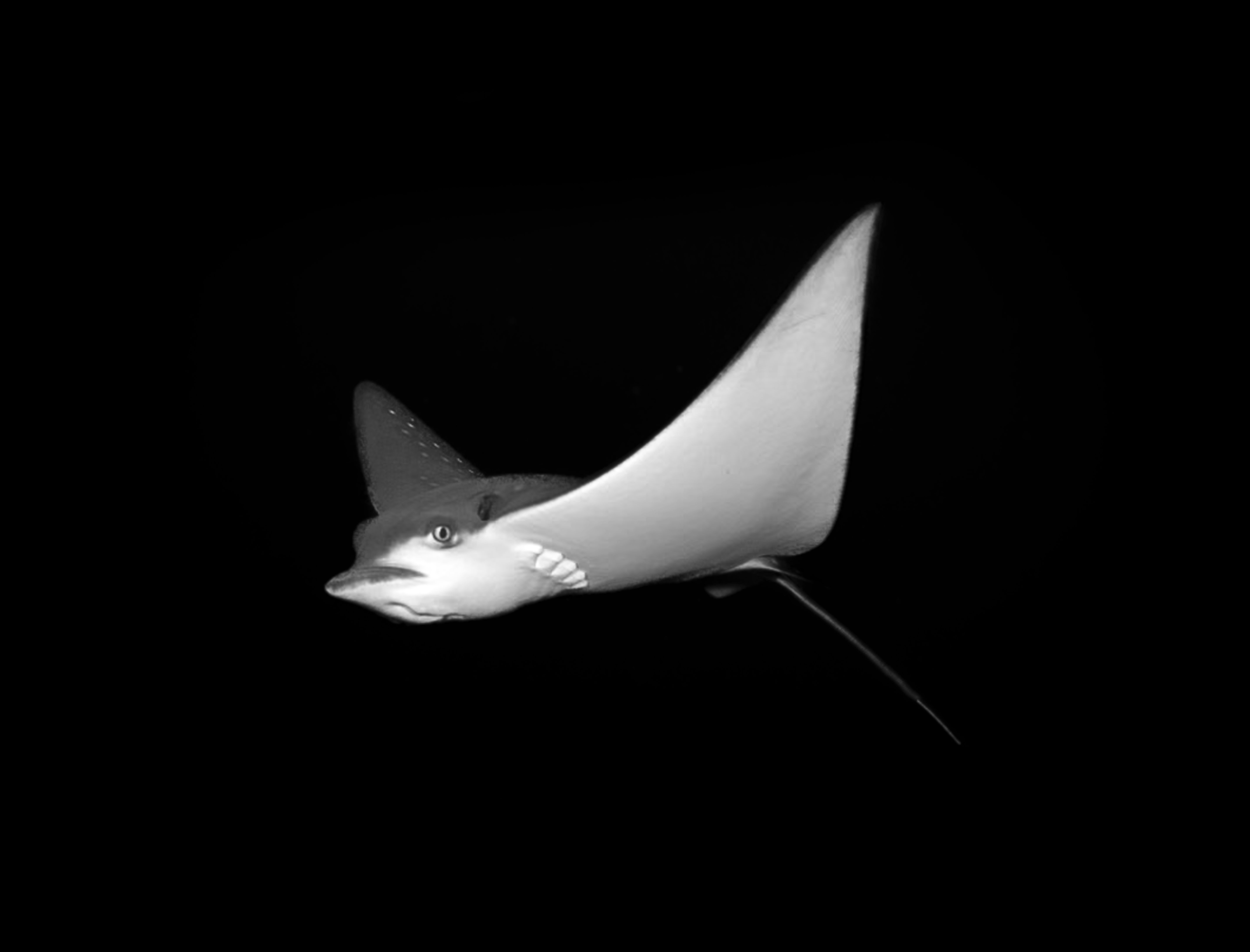Flying Solo