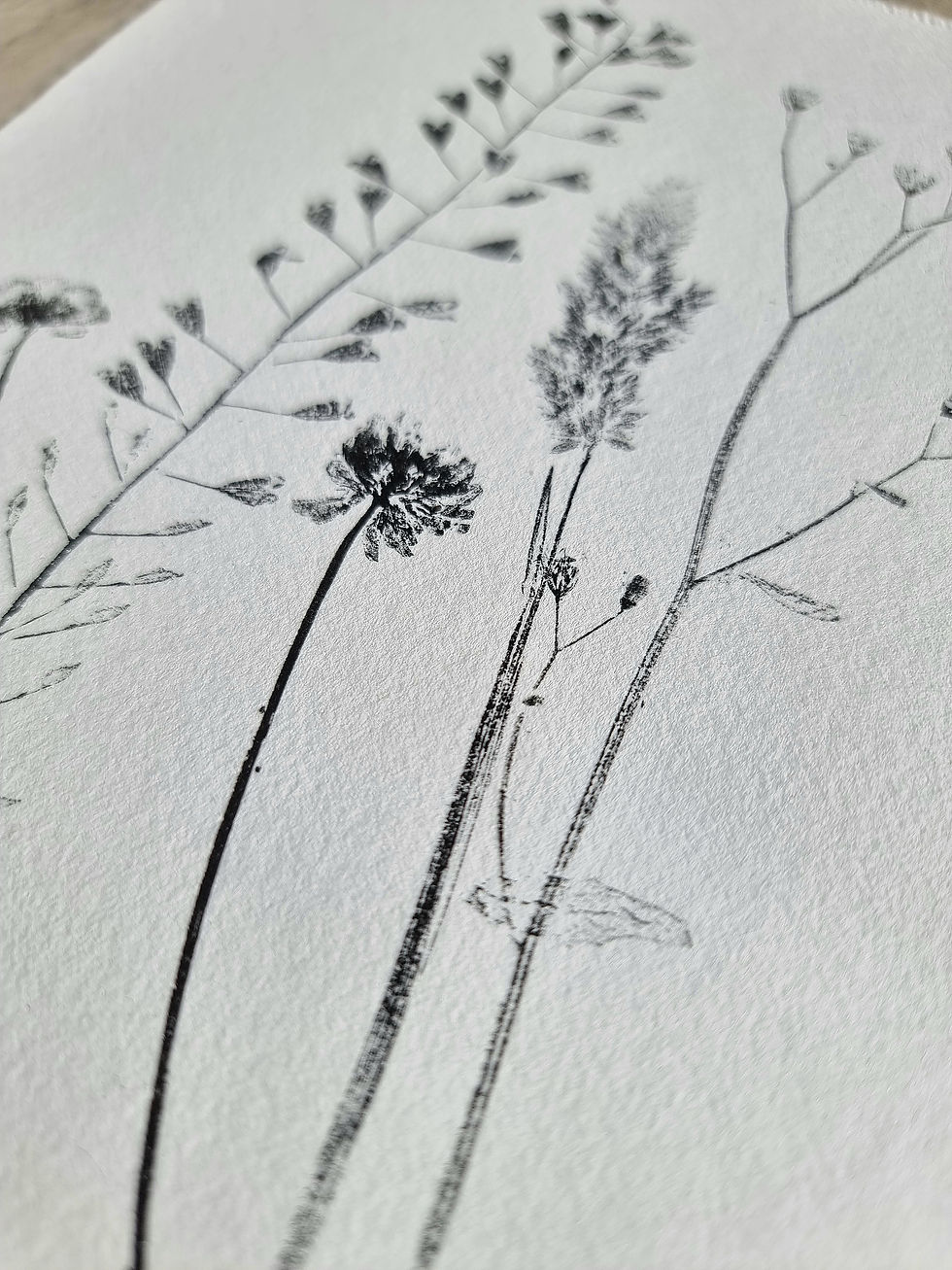 Thumbnail: Wild Grasses
