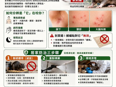 【老鼠防治】莫名奇癢無比？可能不是蚊子，而是家刺蟎！居家紅疹、夜間搔癢可能與鼠害有關｜清樂衛界環境科技有限公司