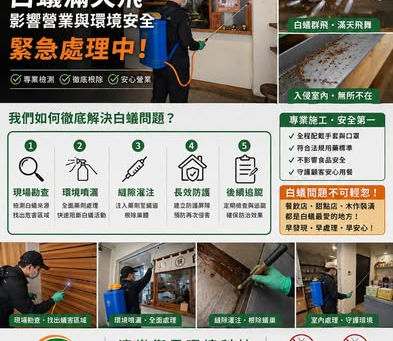 【白蟻防治】嘉義市白蟻防治案例｜純情雞蛋糕白蟻群飛入侵，木作裝潢暗藏白蟻危機