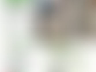 【環境消毒】澎湖無煙民宿環境消毒案例｜定期病媒管理，打造安心舒適住宿環境｜清樂衛界環境科技有限公司