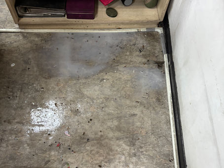 【嘉義市餐廳蟑螂防治】永華園餐廳辦公室德國蟑螂防治案例｜辦公室發現蟑螂，立即進行病媒管理