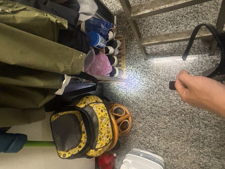 【白蟻防治】台南市住宅白蟻現場勘查紀錄｜專業技師到府評估白蟻風險｜清樂衛界環境科技有限公司