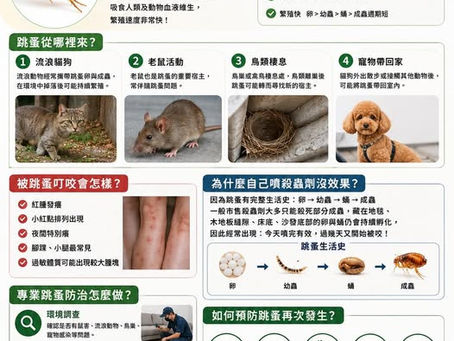 【病媒知識】家裡有跳蚤怎麼辦？完整解析跳蚤來源、危害、預防與專業防治方法