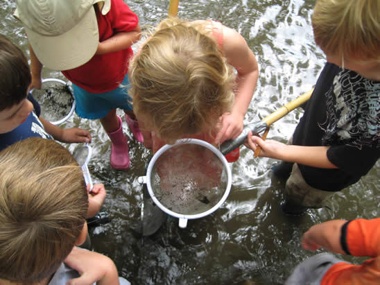 KidsLookinginStream