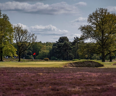 Walton Heath Landscape.jpg