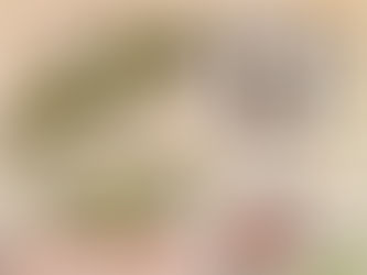 イベントのお知らせ