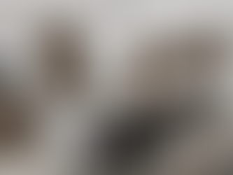 rénovation résidentielle 2025 zone décor