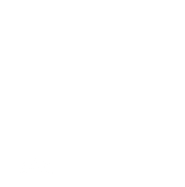 services web icons-04.png