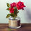 Thumbnail: Red Roses in a Glass Vase