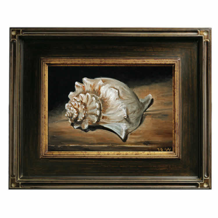 Thumbnail: Sea Shell