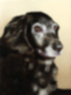 Jake