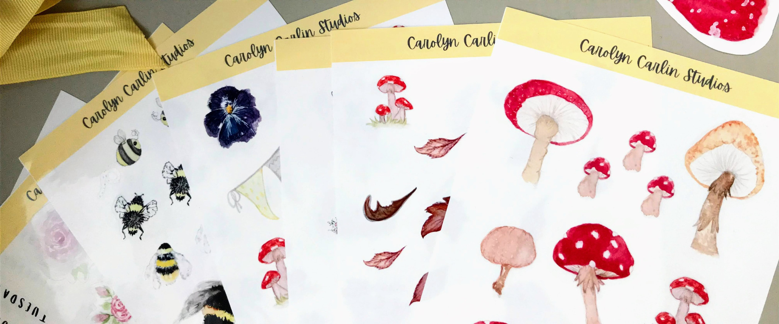 Carolyn Carlin Studios