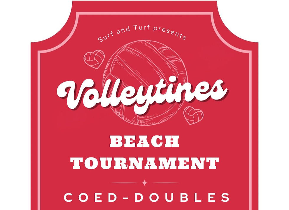 Volleytines 2v2 Coed Tournament