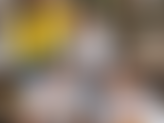 Happy Independence Day Ecuador