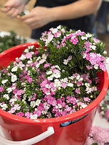 WhatsApp Image 2026-03-14 at 23.29.56 (2).jpeg