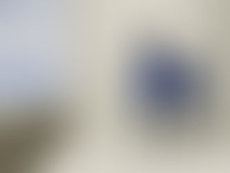 "I do my best because I'm counting on you counting on me." -Maya Angelou