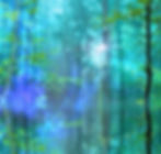 Website-Background-Crop.jpg