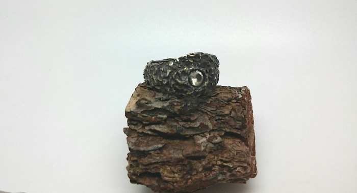 ArtClaySilver. Мастер-класс в Москве