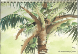 scenery7