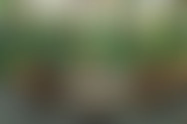 2015 Year in Review – Personal Photographs | New Hampshire Food and Lifestyle Photographer