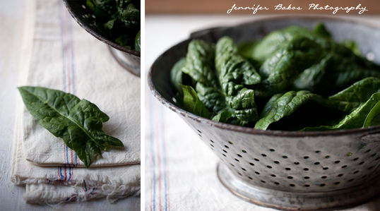 Monthly Blog Circle – Southern NH Photographers